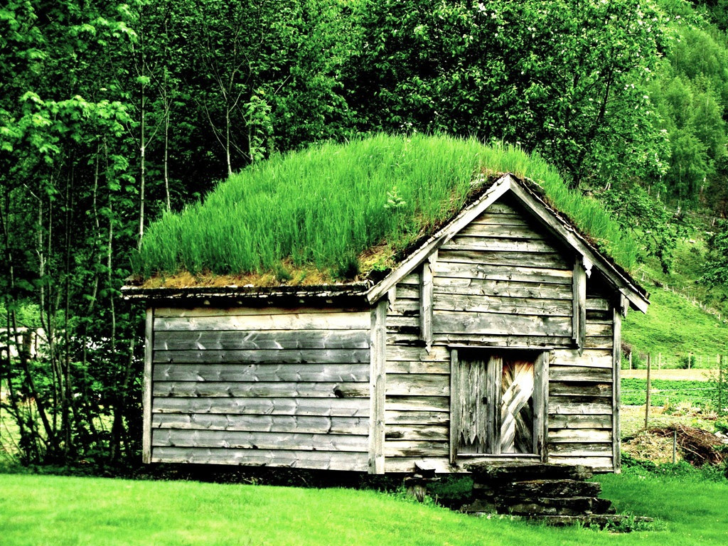 Grass Roof, Norway